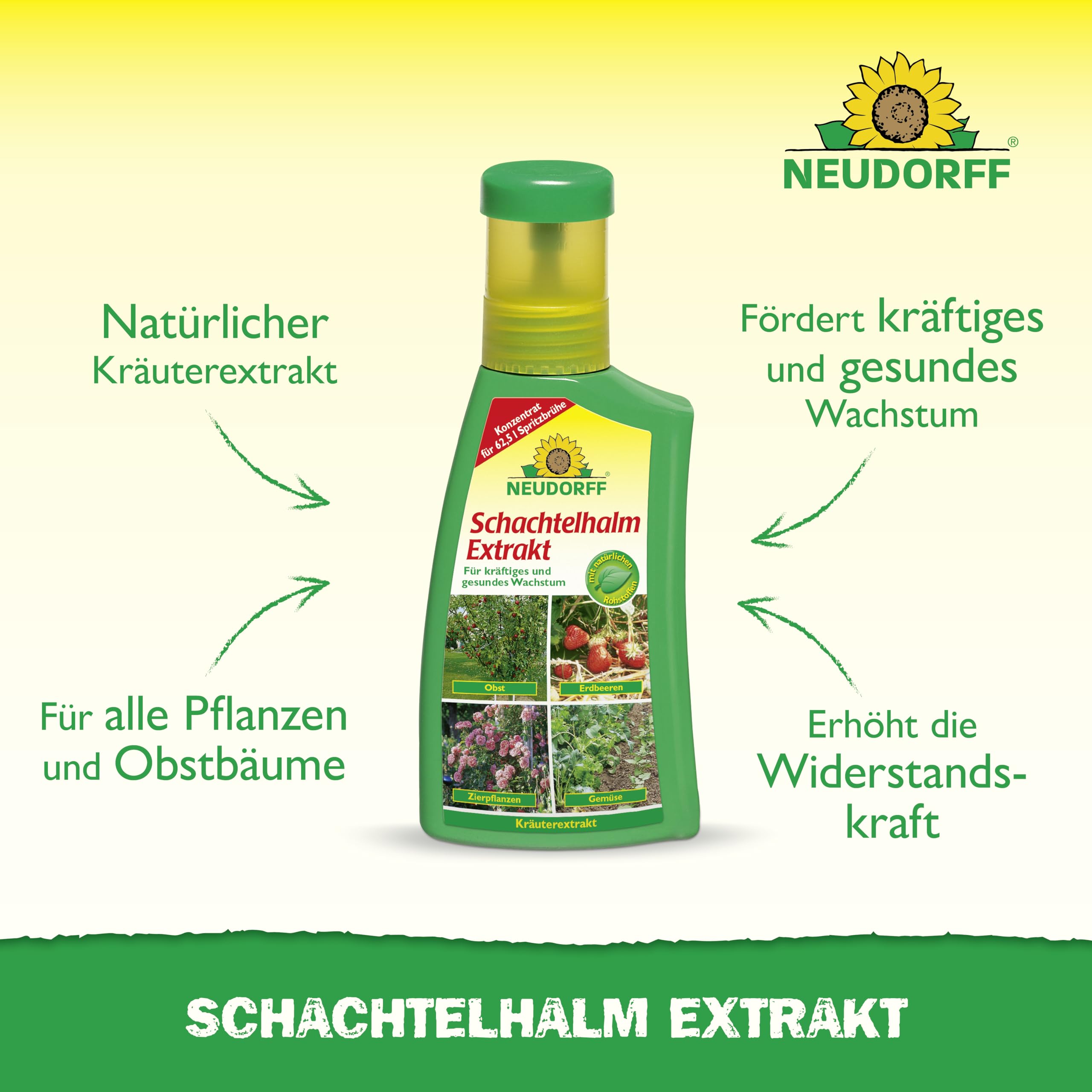 neudorff-schachtelhalm-extrakt-250-ml-kr-uterextrakt-pflanzenst-rkung image 2