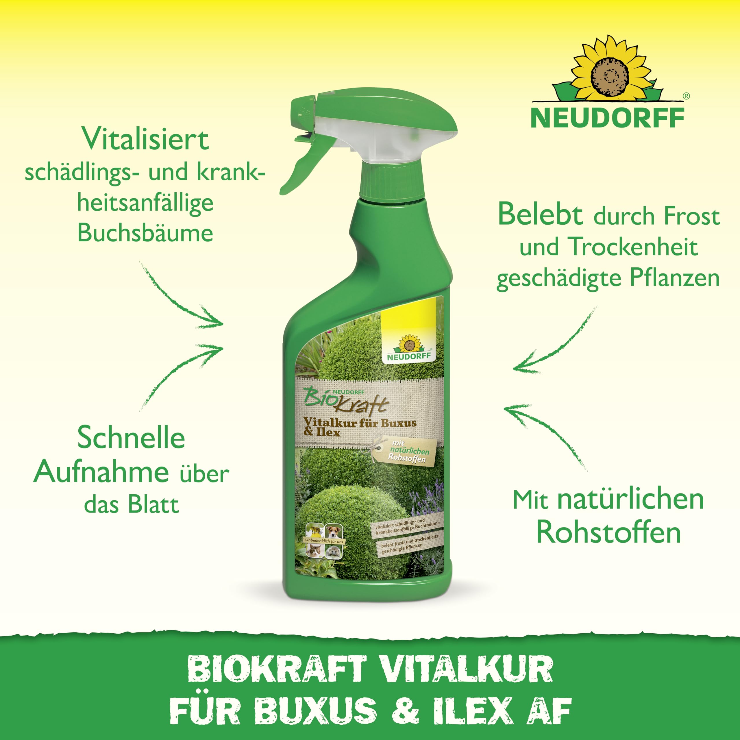 neudorff-biokraft-vitalkur-f-r-buxus-ilex-af-spray-500-ml image 2