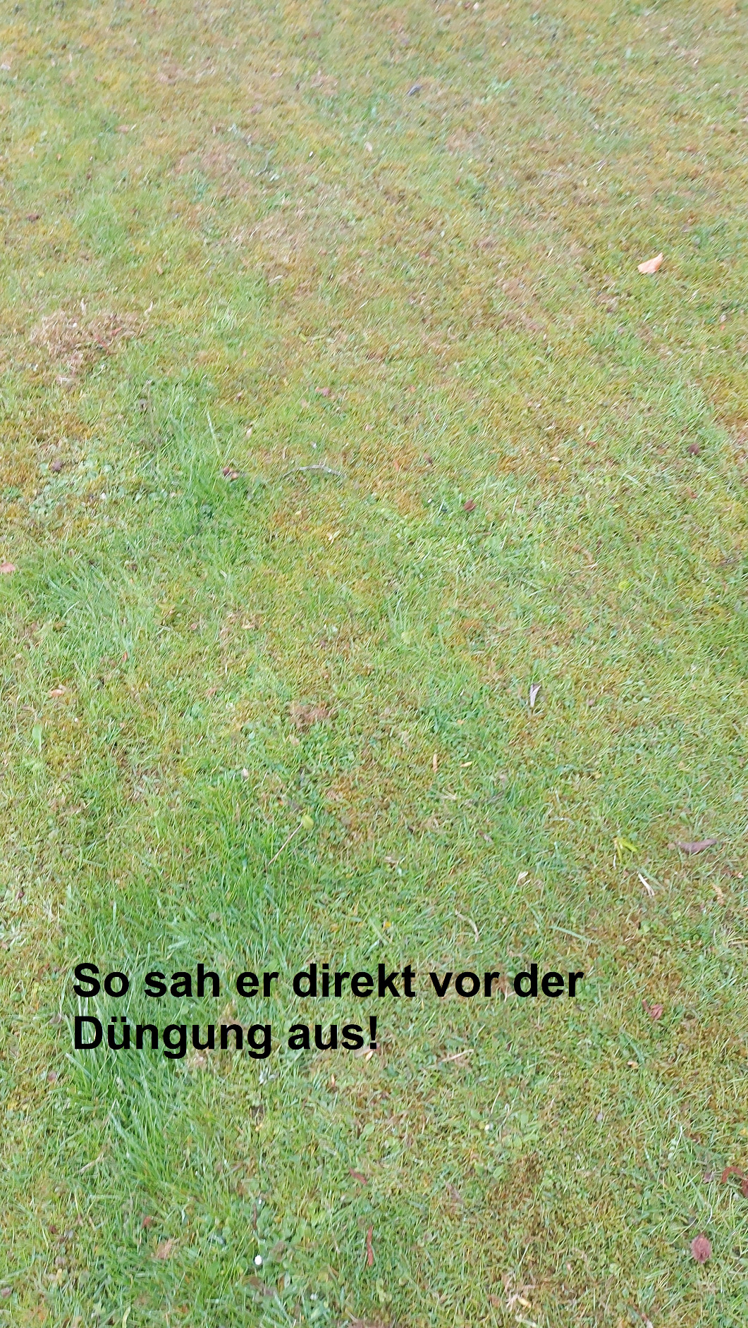 Ideal für Roboterrasen