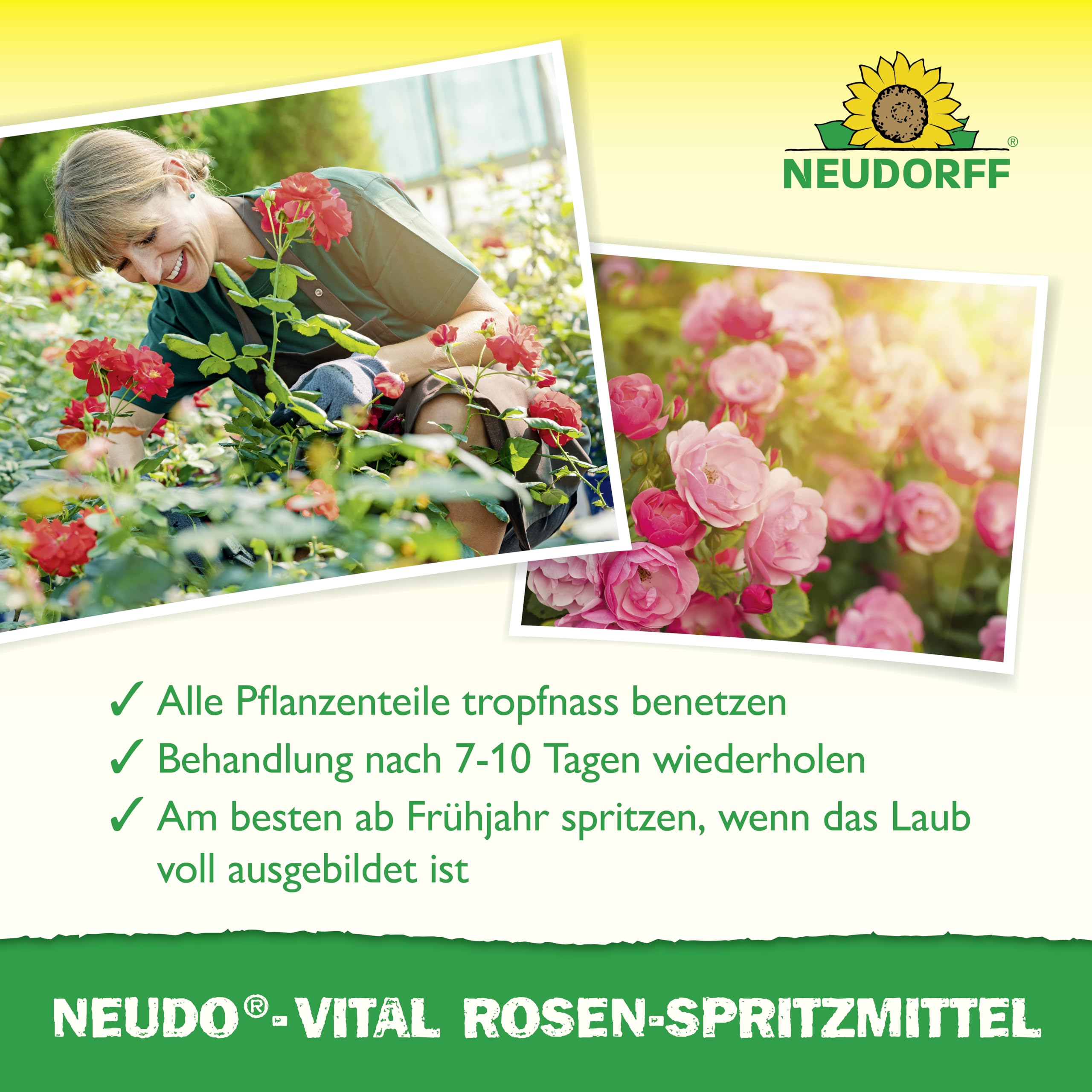 neudorff-neudo-vital-rosen-spritzmittel-konzentrat-250-ml-blattd-nger-f-r-25-l image 4
