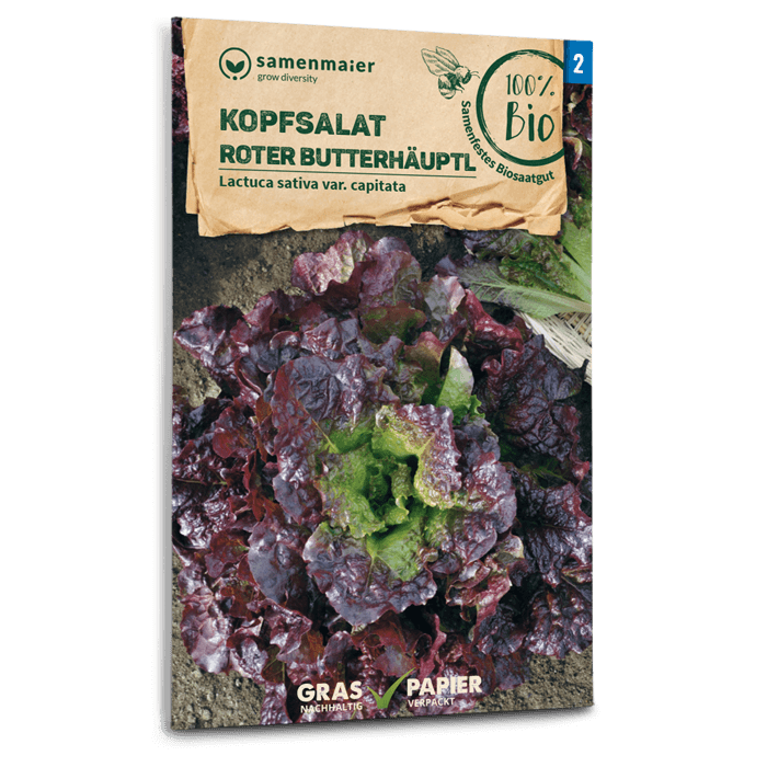 plantura-bio-kopfsalat-roter-butterh-uptl-samen image 1