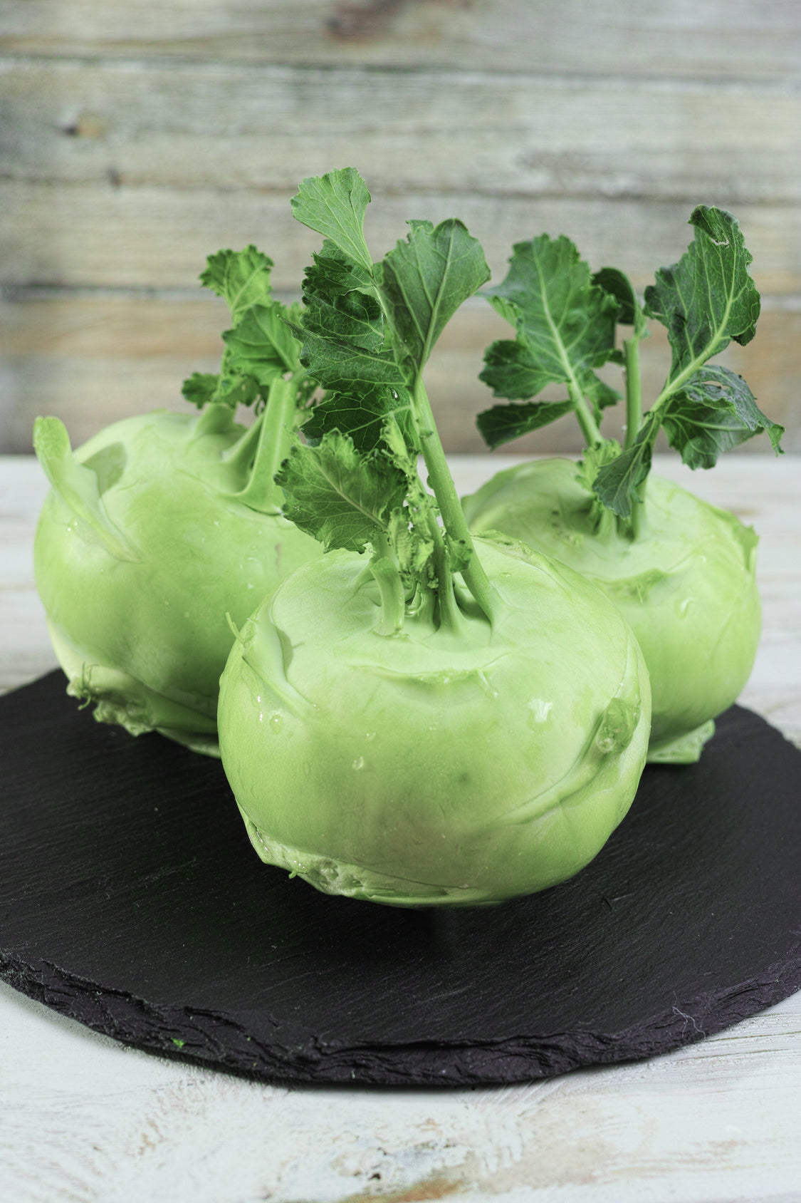 plantura-bio-kohlrabi-superschmelz-bio-saatgut image 2