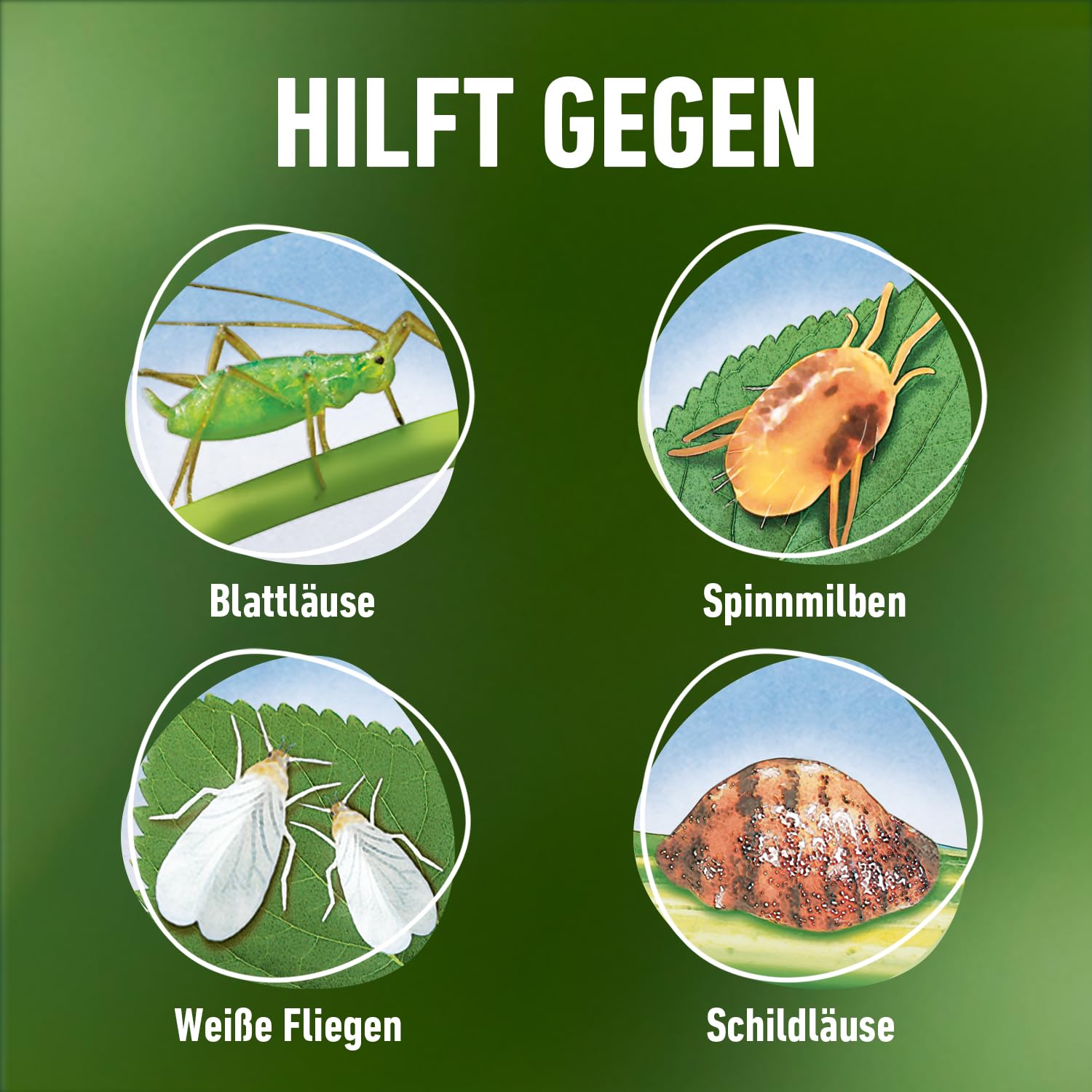 compo-blattlaus-frei-nativert-af-spray-750-ml-anwendungsfertig image 8