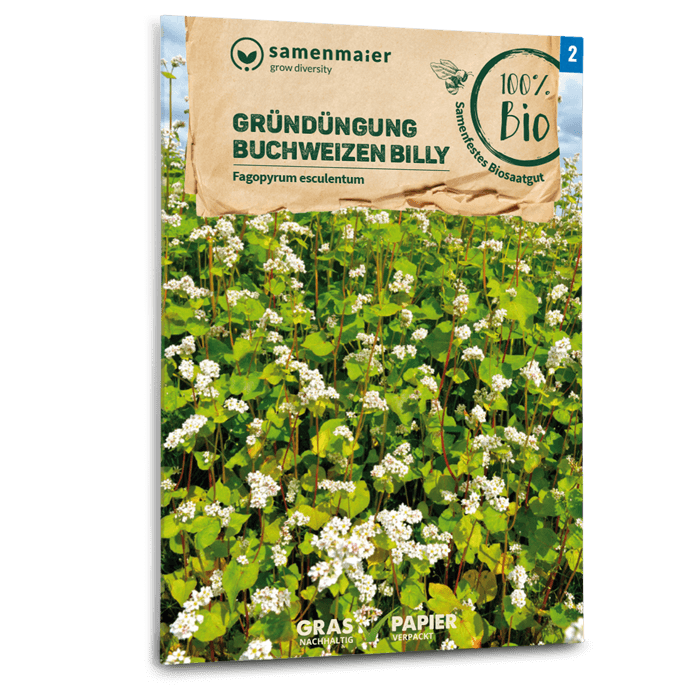 plantura-bio-buchweizen-billy-gr-nd-ngung-saatgut image 1