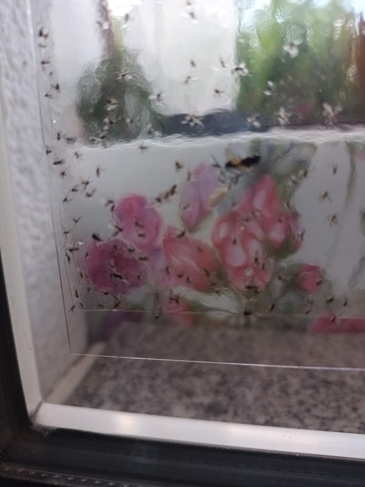 Solide Hilfe im Garten