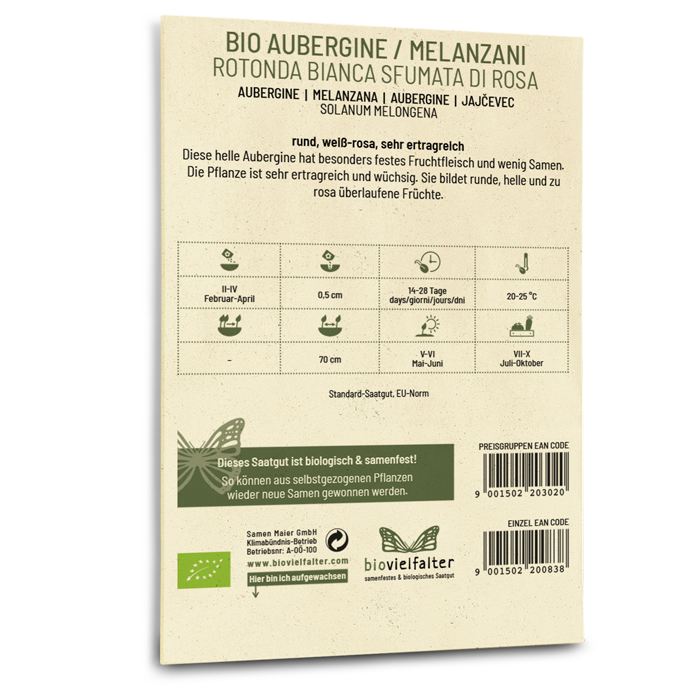 plantura-bio-aubergine-rotonda-bianca-bio-gem-sesaatgut image 3