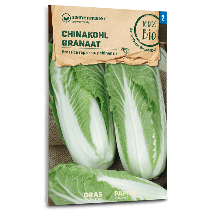 plantura-bio-chinakohl-granaat-saatgut image 1