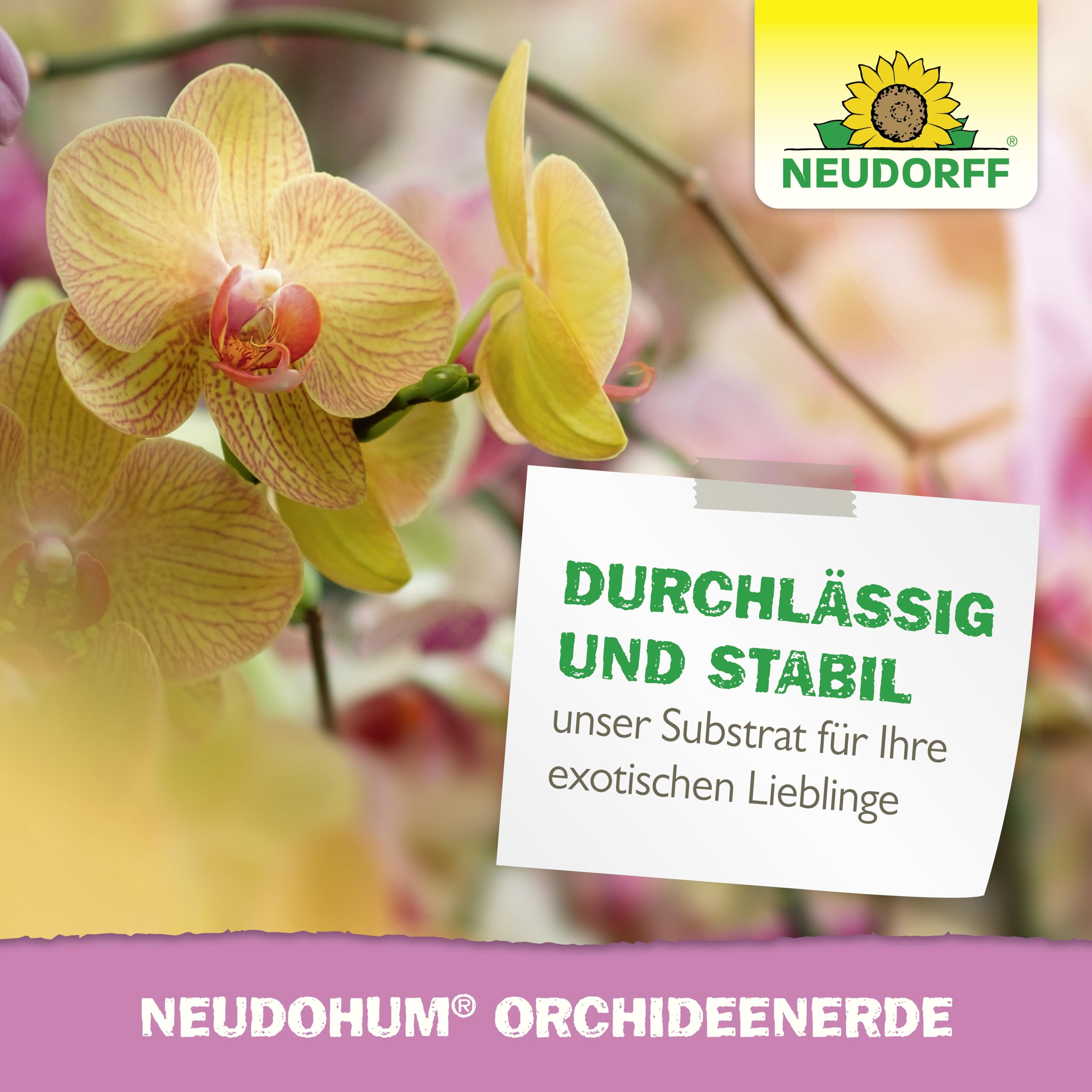 neudorff-neudohum-orchideenerde-3-l-torffrei-bio image 7