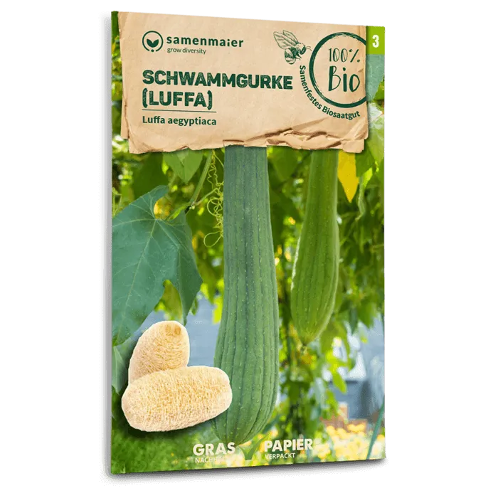 plantura-bio-schwammgurke-luffa-bio-saatgut image 1
