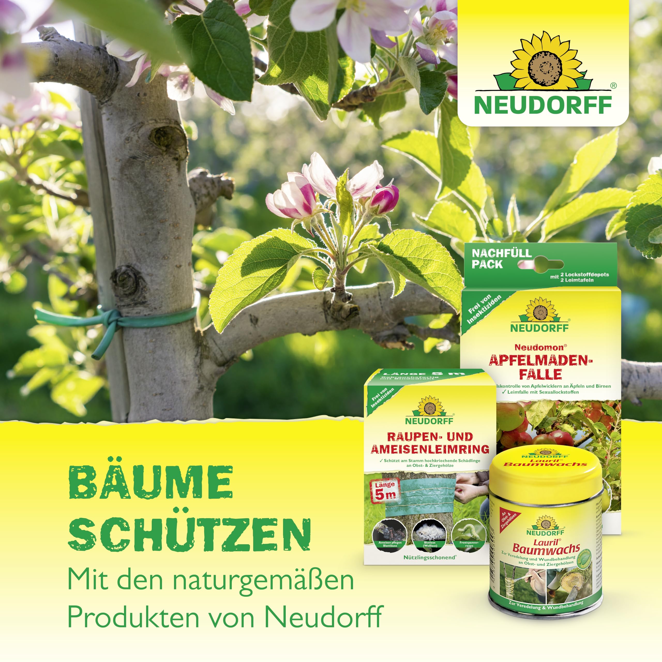neudorff-aurum-insektenleim-125-g-leimring-f-r-ber-4-m image 7
