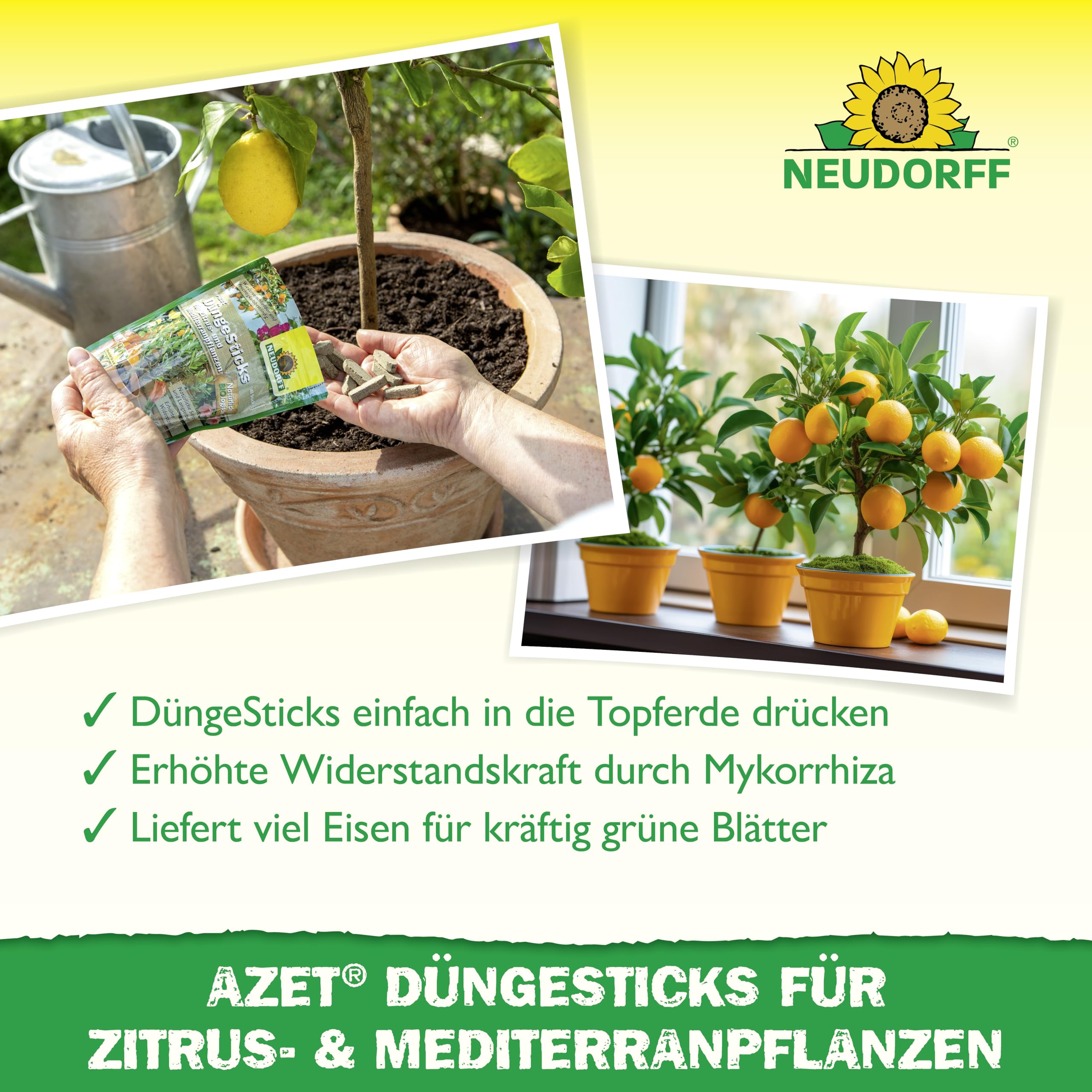 neudorff-azet-d-ngesticks-f-r-zitrus-und-mediterranpflanzen-bio-d-ngest-bchen-40 image 4