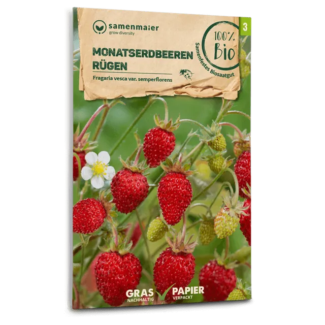 plantura-bio-monatserdbeeren-r-gen-bio-saatgut image 1
