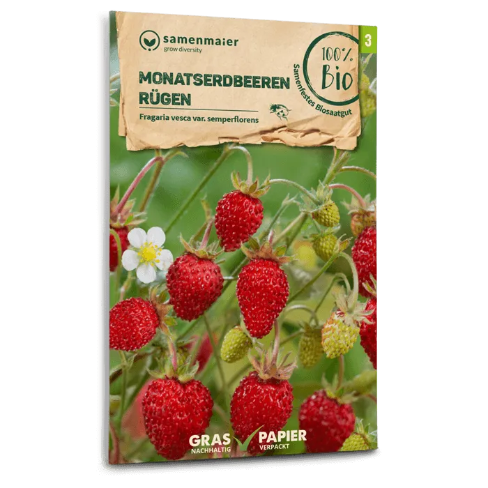 plantura-bio-monatserdbeeren-r-gen-bio-saatgut image 1