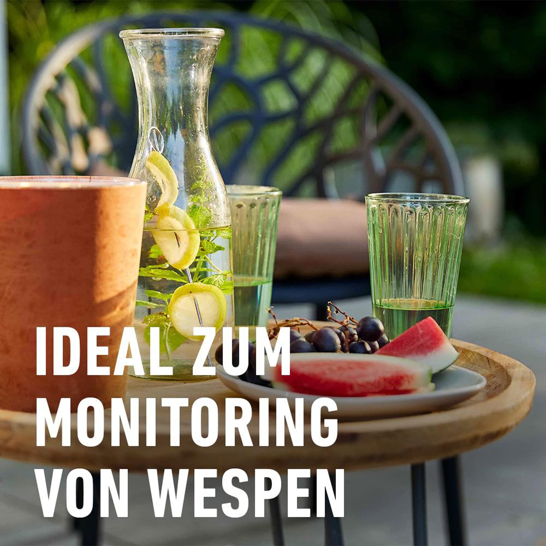 compo-wespen-falle-wiederbef-llbar-1-st-ck-22434 image 4