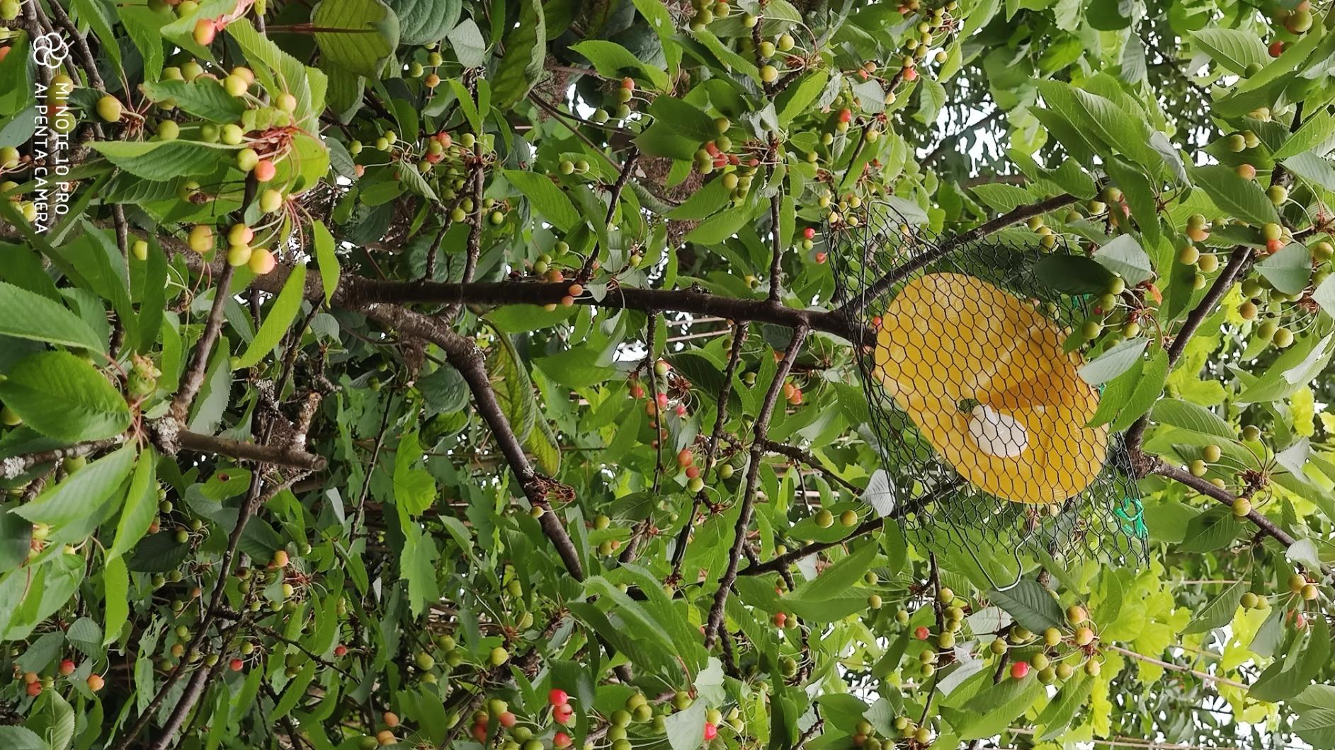Stabil auch bei Regen