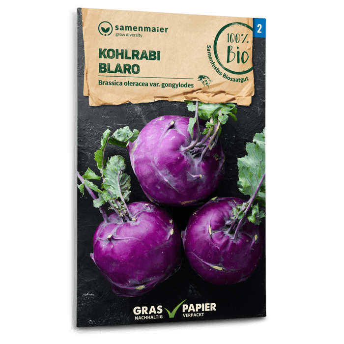 plantura-bio-kohlrabi-blaro-bio-saatgut image 1