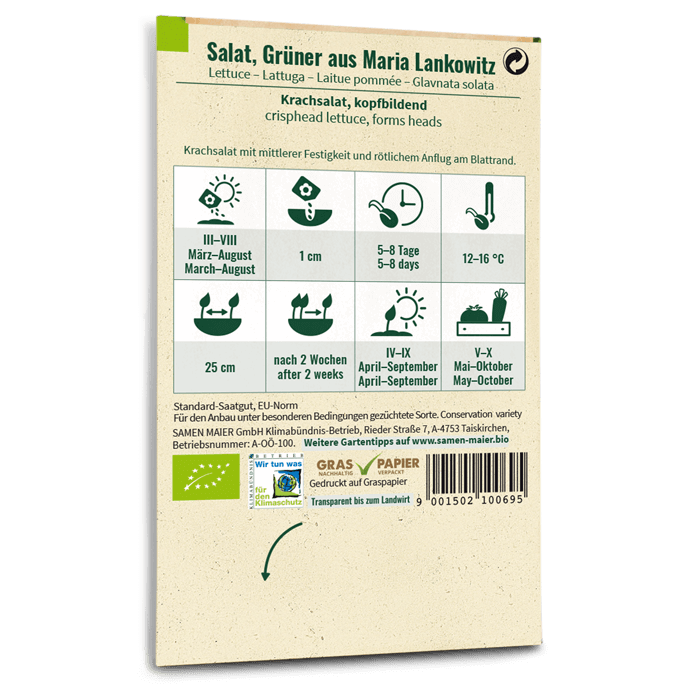 plantura-bio-salat-gr-ner-aus-maria-lankowitz-bio-saatgut image 3