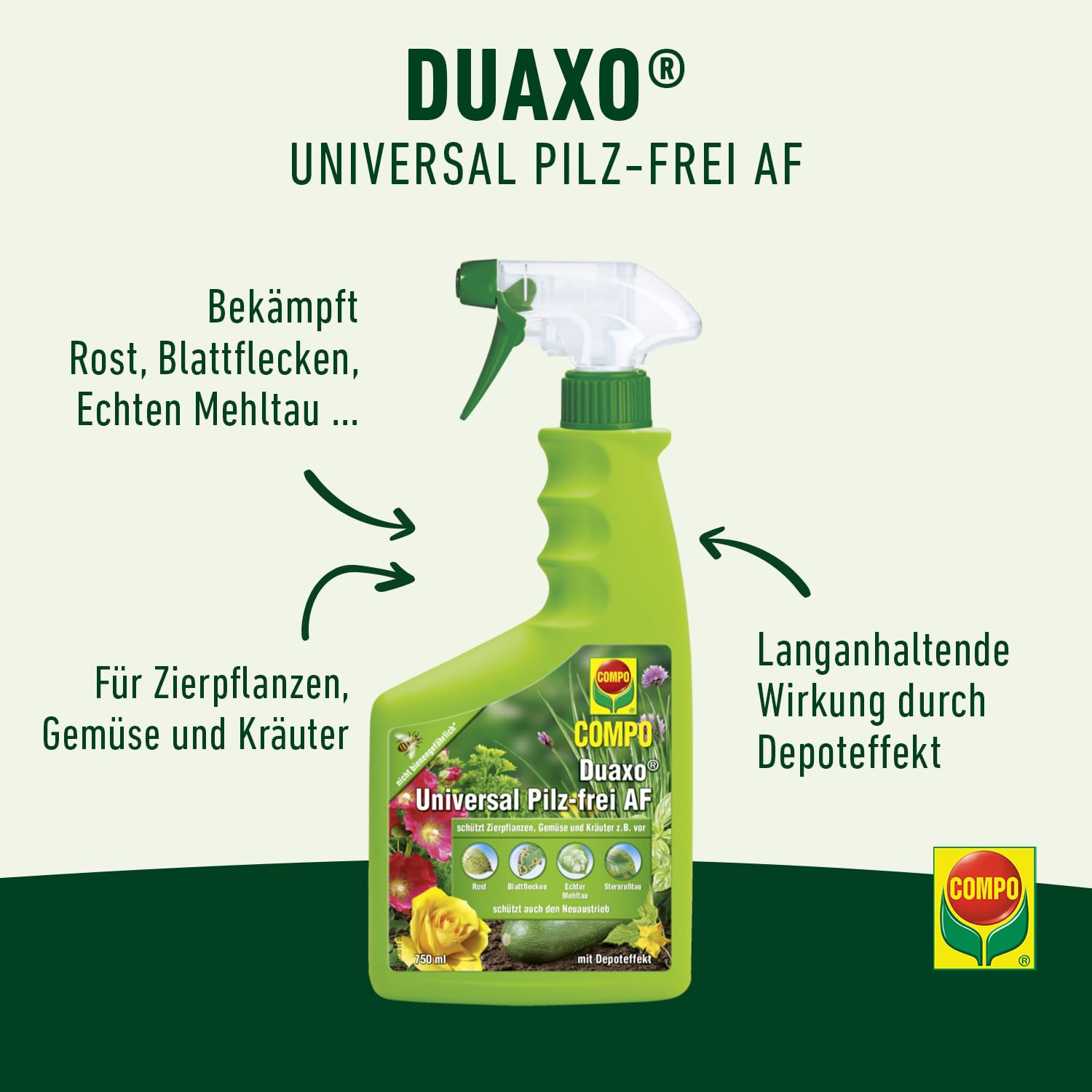 compo-duaxo-universal-pilz-frei-af-fungizid-spray-750-ml-anwendungsfertig image 2