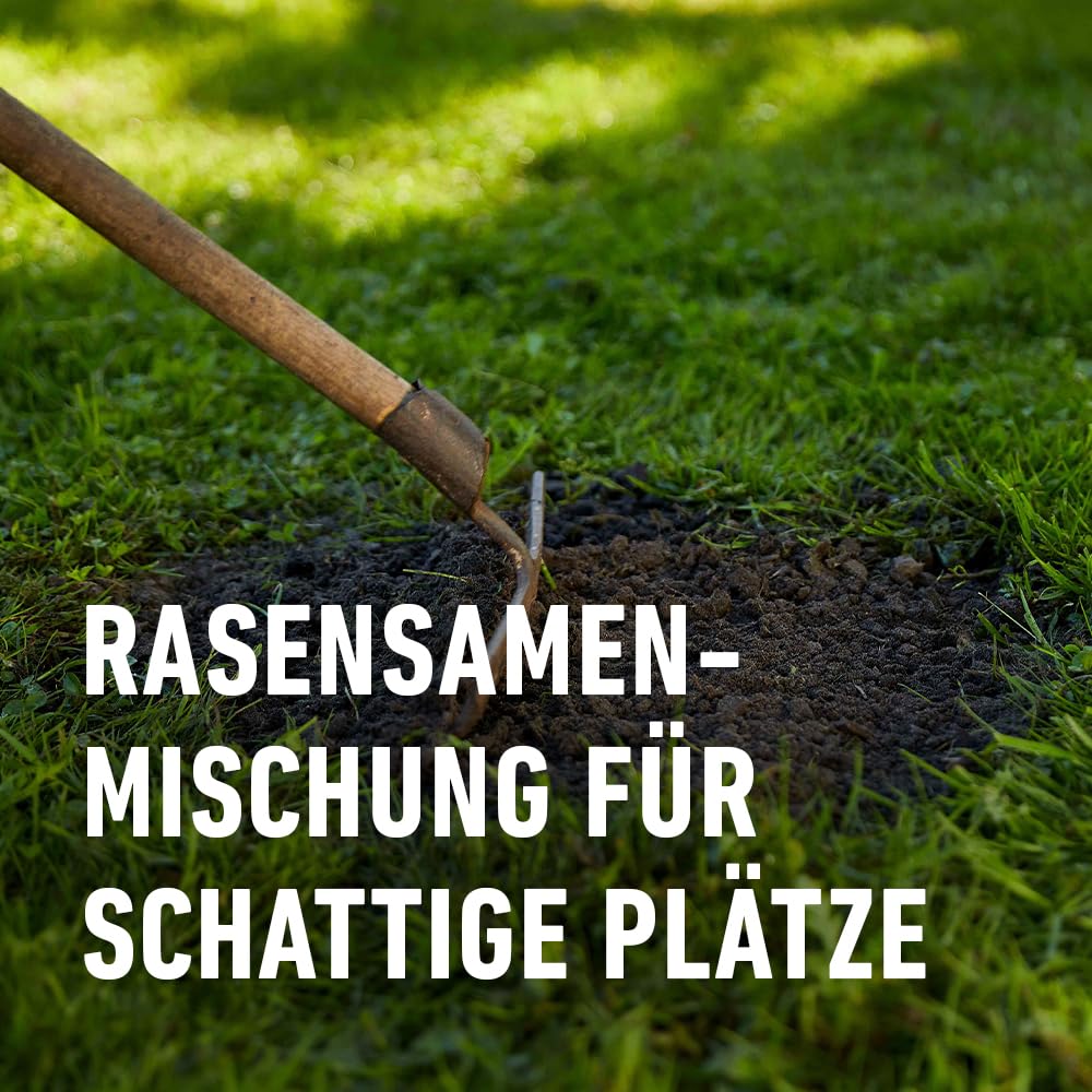 compo-saat-schatten-rasen-2-kg-f-r-100-m-mantelsaat-f-r-schattige-lagen image 4