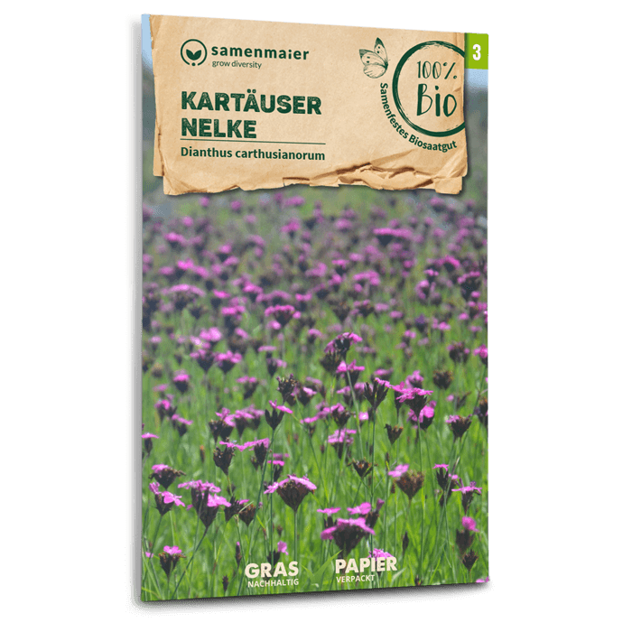 plantura-bio-kart-user-nelke-wildblume-saatgut image 1