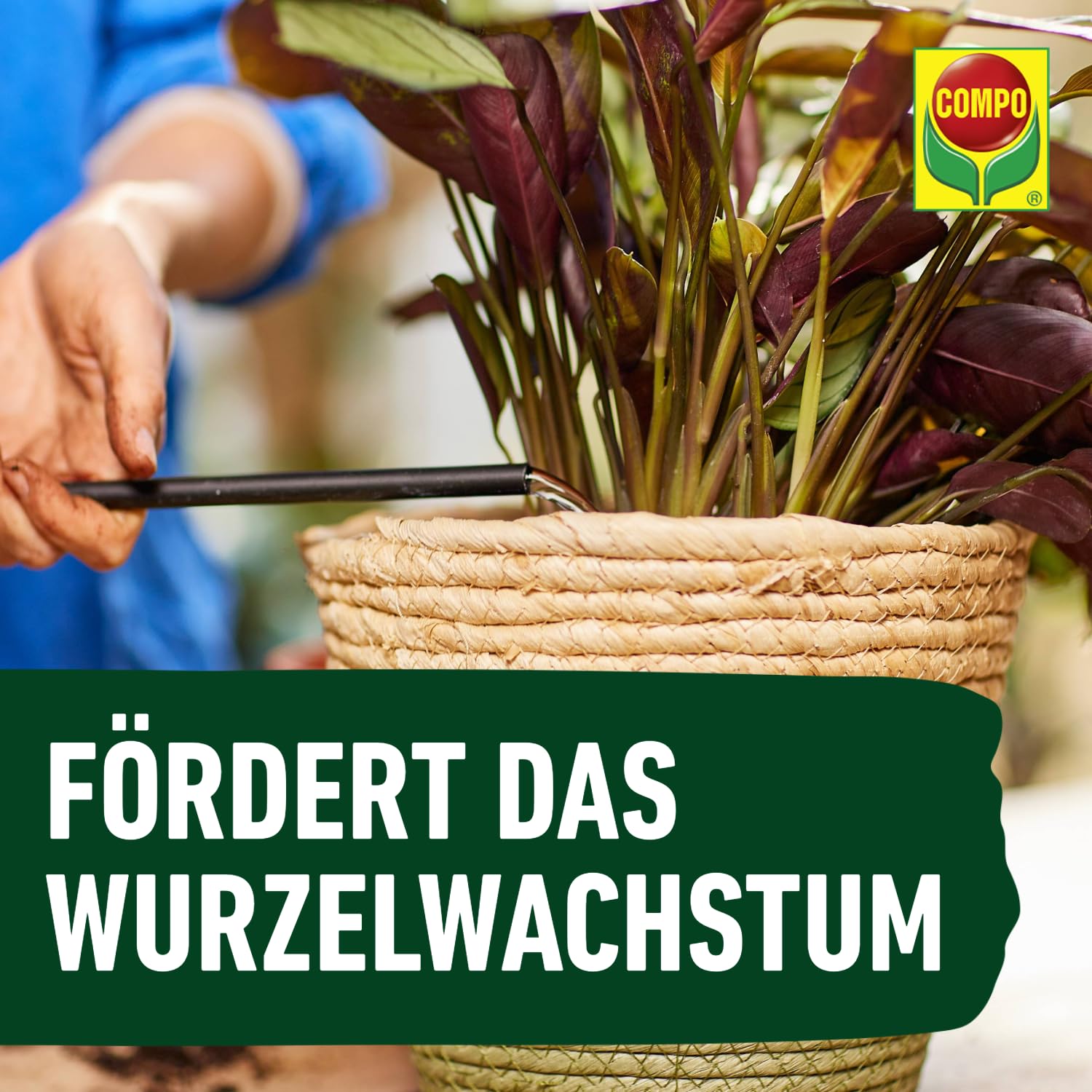 compo-gr-npflanzend-nger-und-palmend-nger-fl-ssigd-nger-1-liter image 7