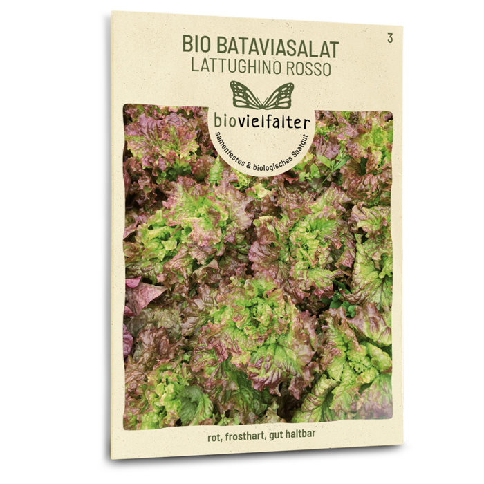 plantura-bio-bataviasalat-lattughino-rosso-saatgut image 1