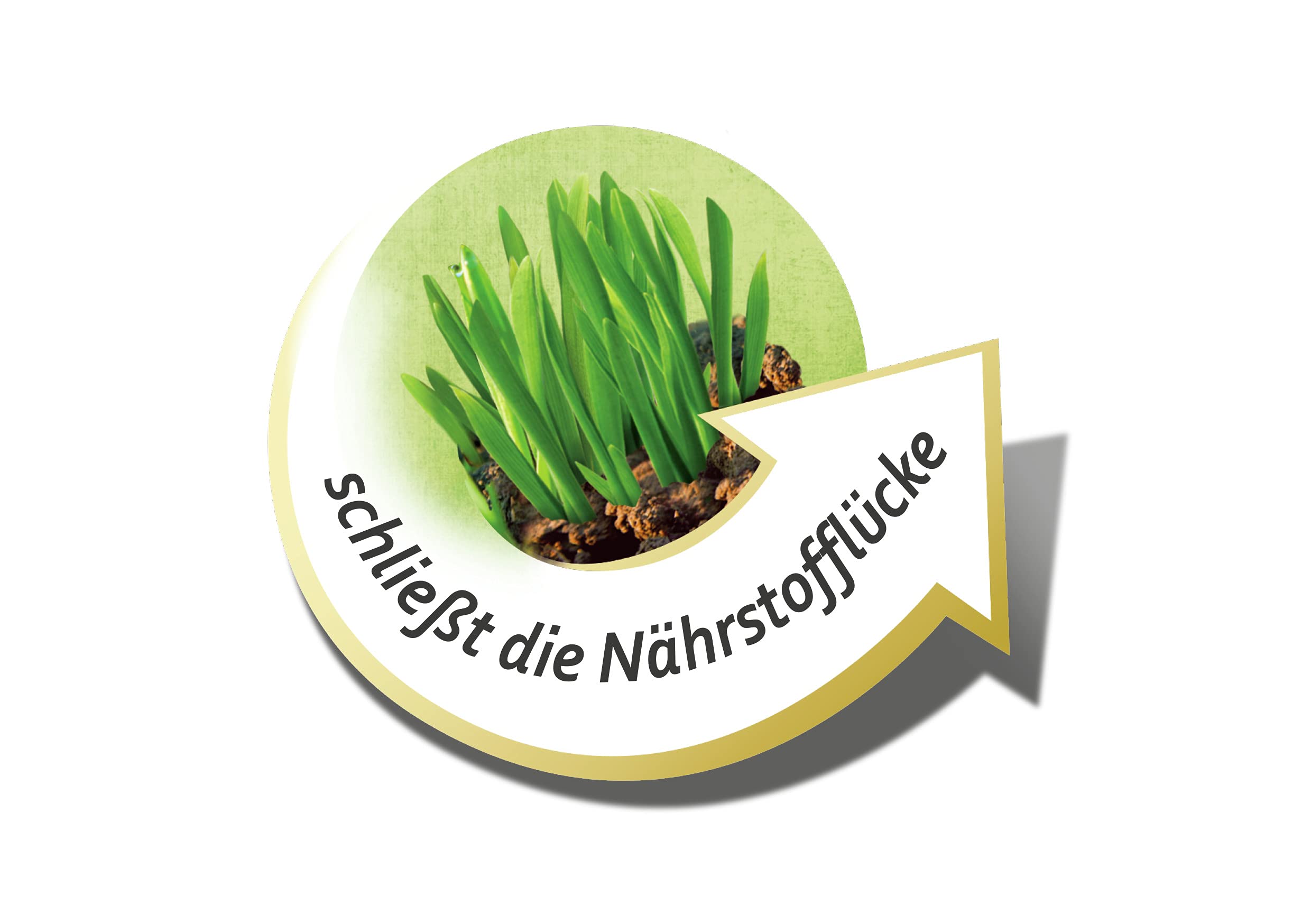 compo-robo-rasen-langzeit-d-nger-5-kg-f-r-200-m-3-monate-wirkung image 4