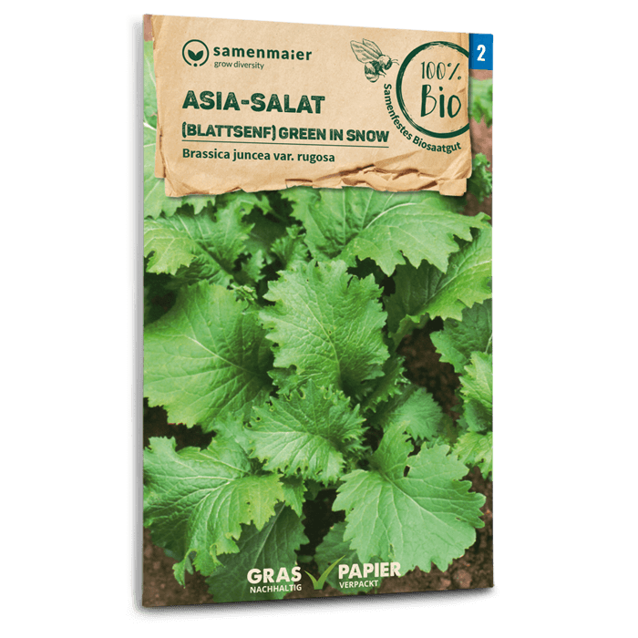 plantura-bio-asia-salat-green-in-snow-bio-saatgut image 1