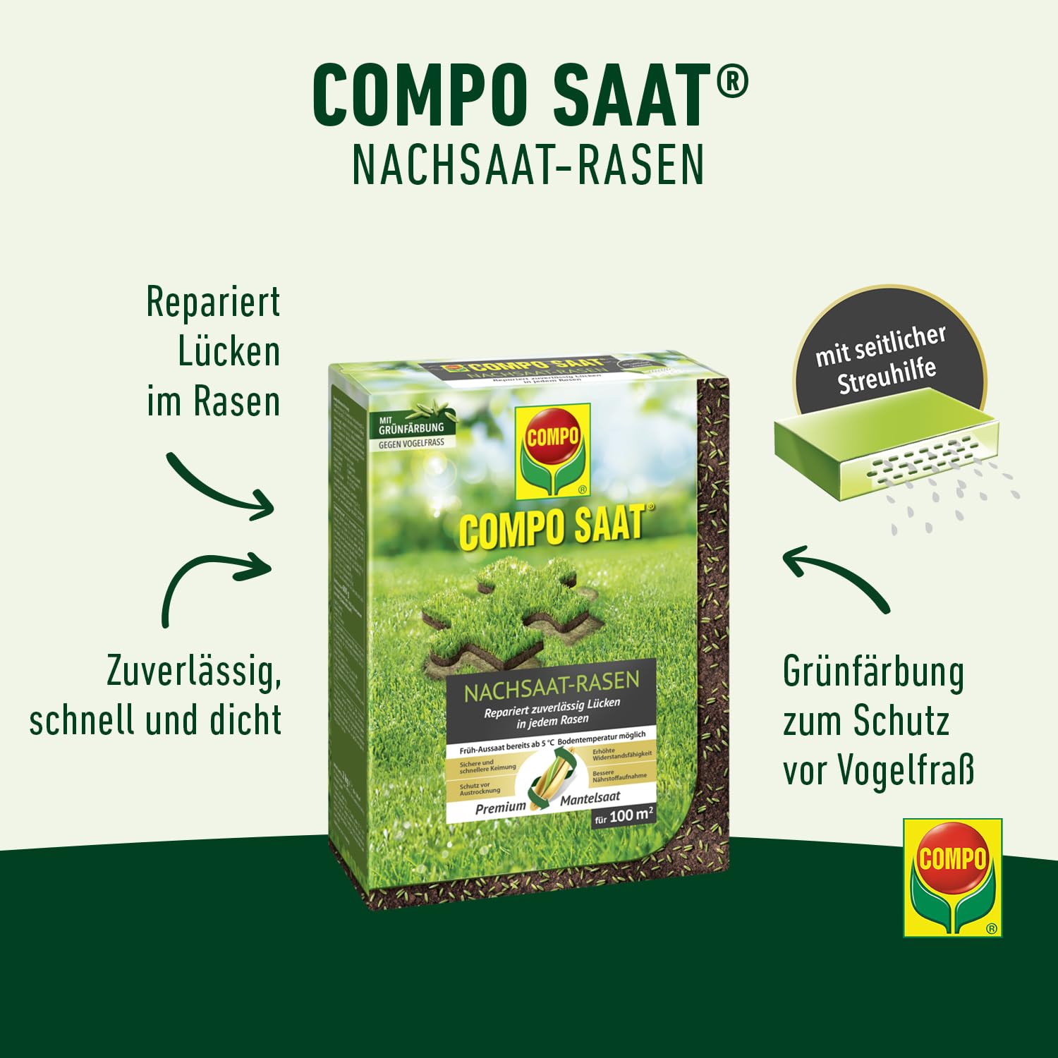 compo-saat-nachsaat-rasen-2-kg-f-r-100-m-schnellkeimende-rasensamen image 2