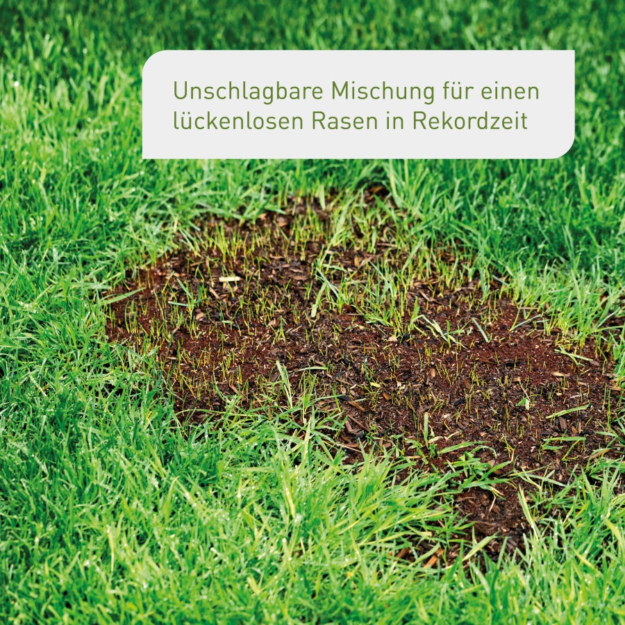 plantura-rasen-reparatur-1-5-kg-rasensamen-mix-f-r-kahle-stellen image 4