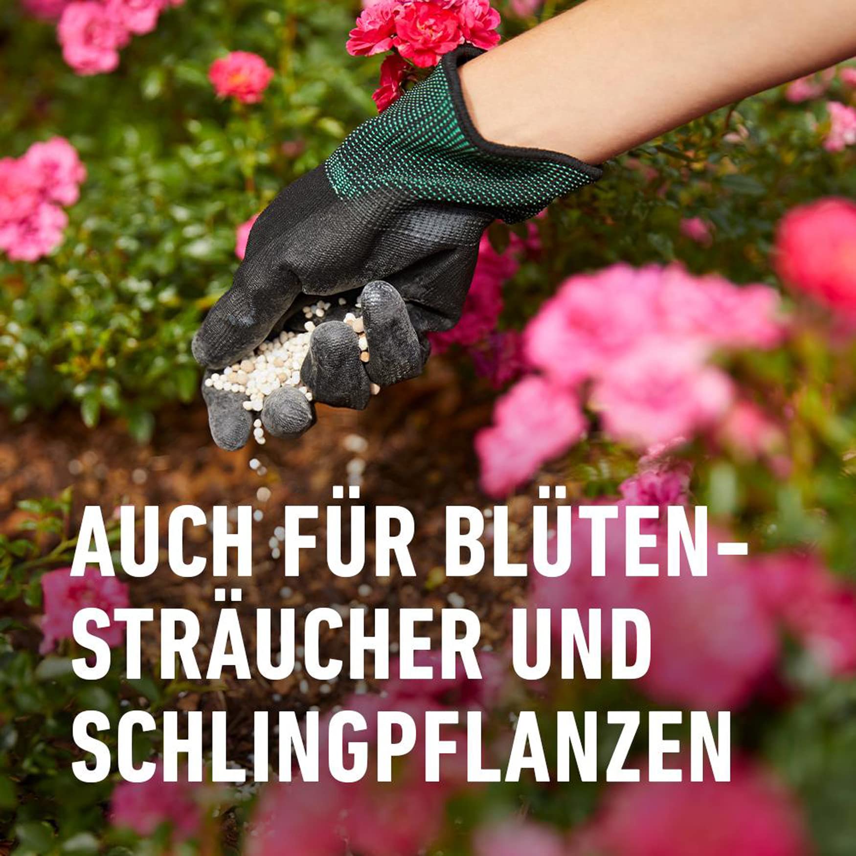 compo-rosen-langzeit-d-nger-850-g-6-monate-wirkung-f-r-11-m image 4