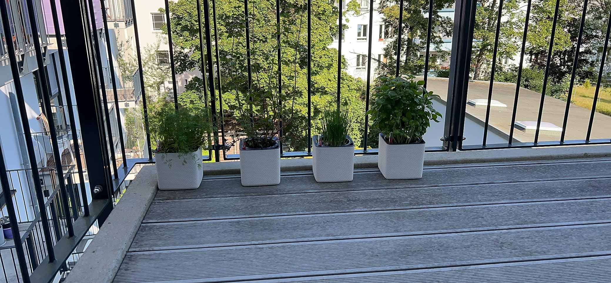 Natürlich und wirksam auf dem Balkon