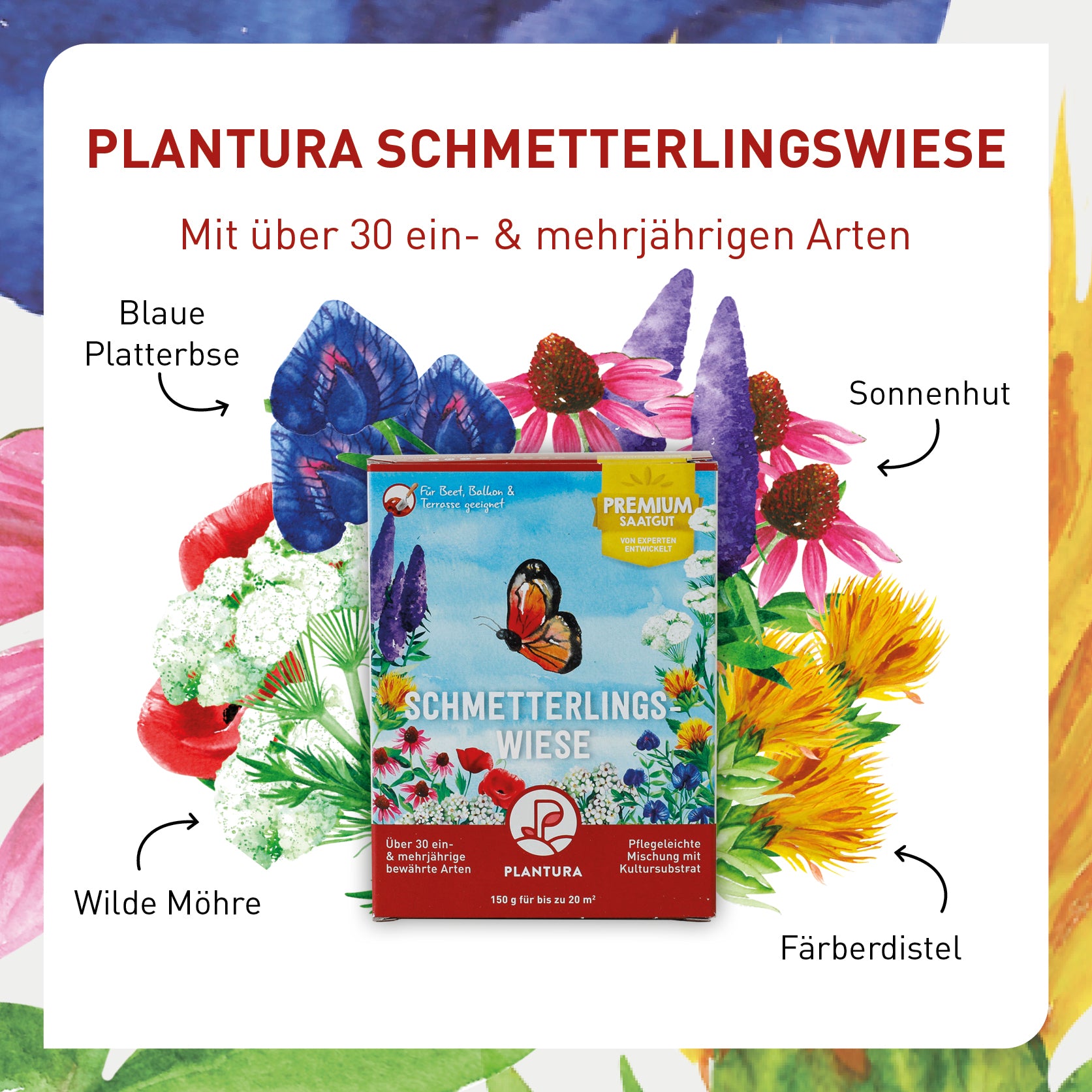 plantura-schmetterlingswiese-150-g-blumenmischung-ber-30-arten image 3