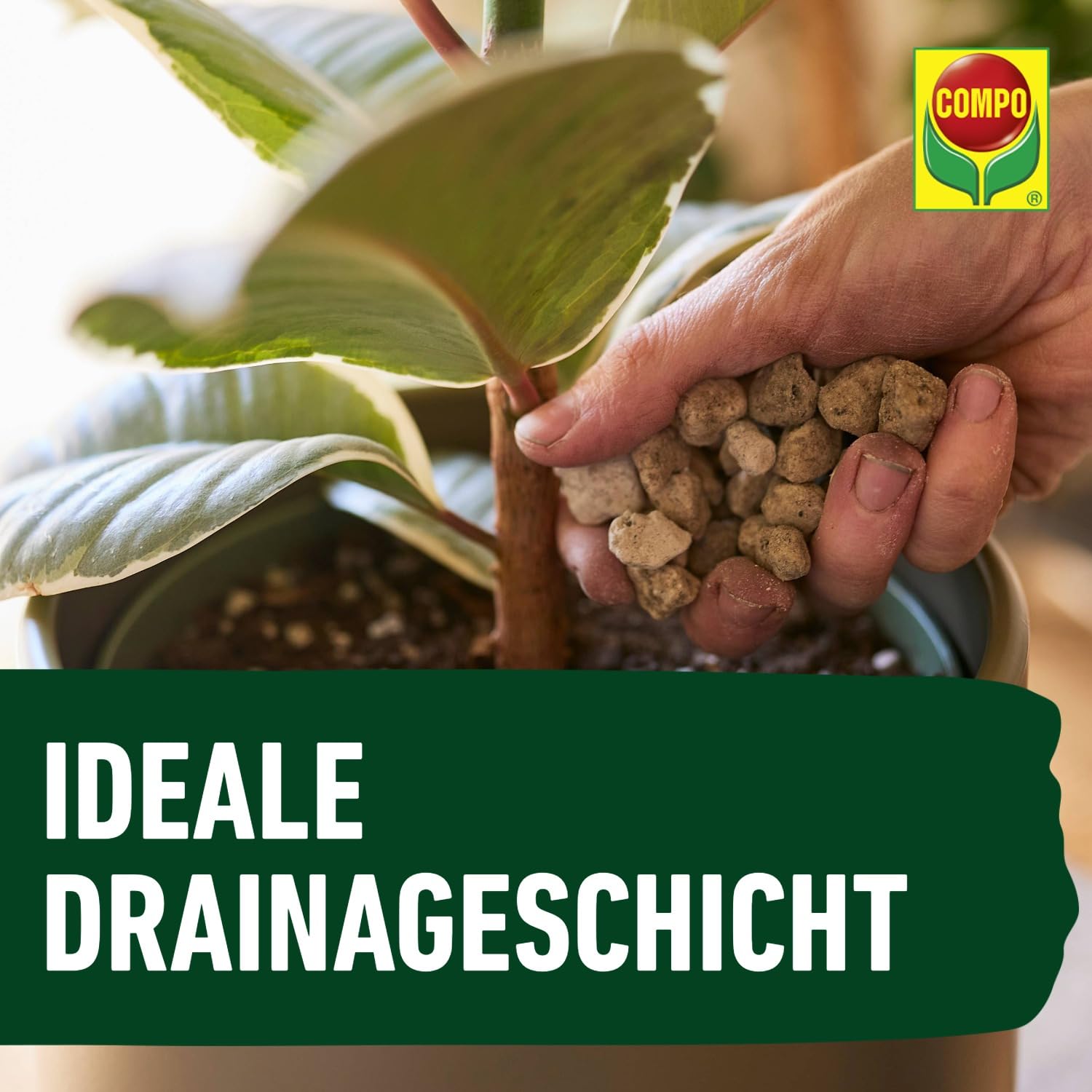 compo-bio-granuplant-drainage-und-pflanzgranulat-bimsstein-10-liter image 6