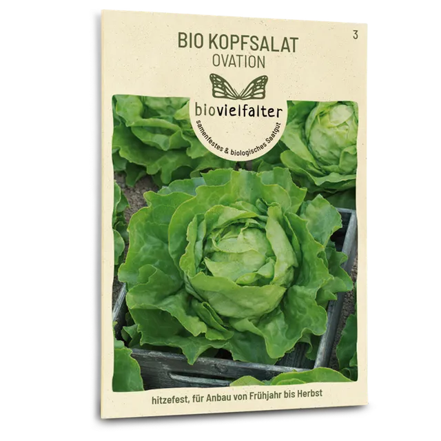 plantura-bio-kopfsalat-ovation-bio-saatgut-butterkopfsalat image 1