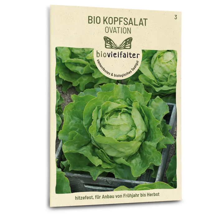 plantura-bio-kopfsalat-ovation-bio-saatgut-butterkopfsalat image 1