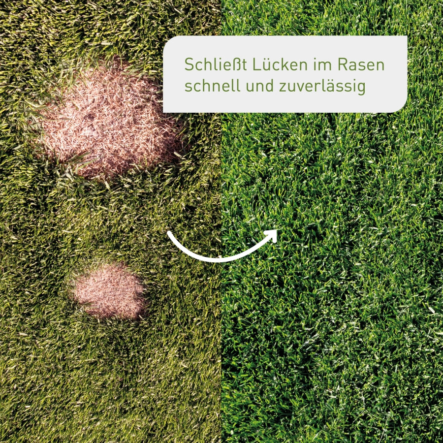 plantura-rasen-reparatur-1-5-kg-rasensamen-mix-f-r-kahle-stellen image 2