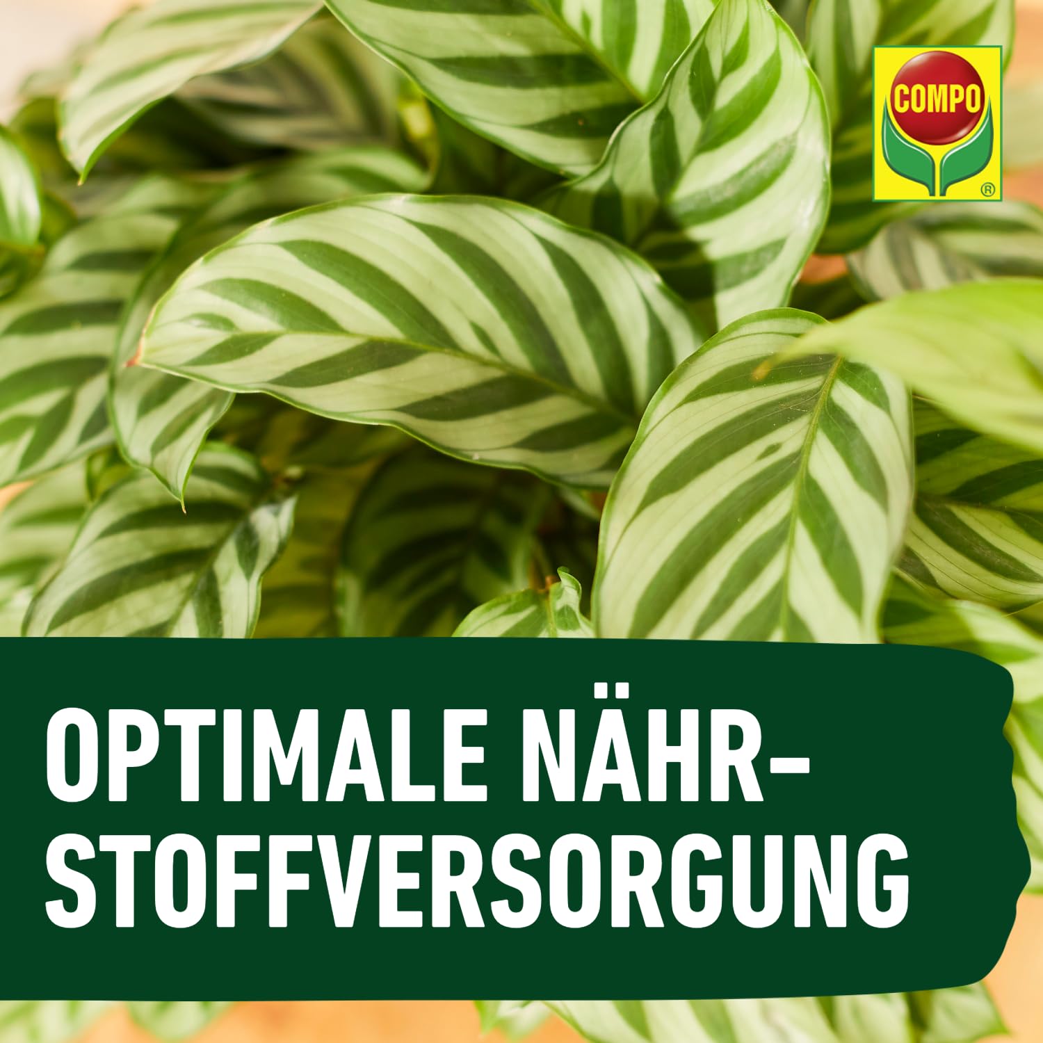compo-gr-npflanzend-nger-und-palmend-nger-fl-ssigd-nger-1-liter image 6