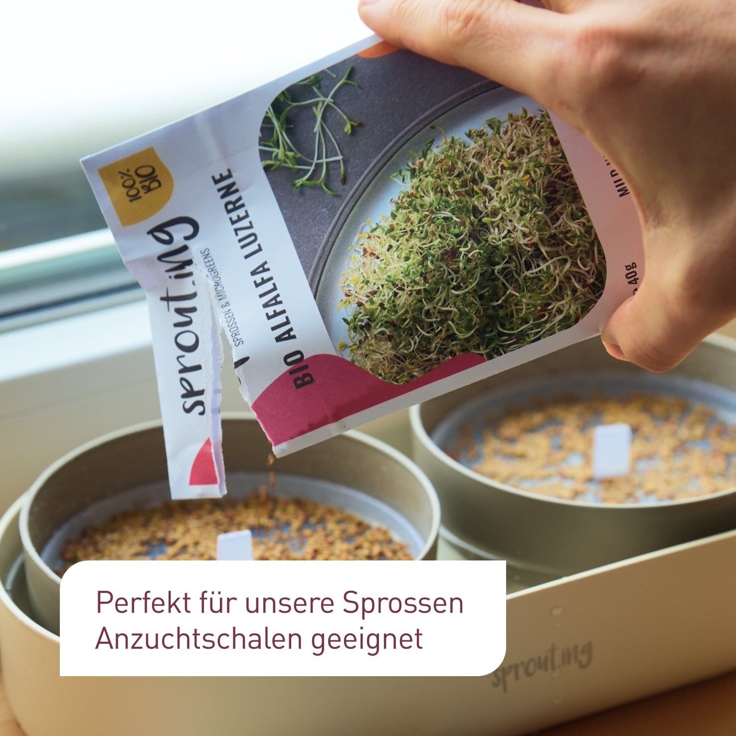 plantura-bio-sprossen-samen-set-mild-4-x-40-g-saatgut-set image 3