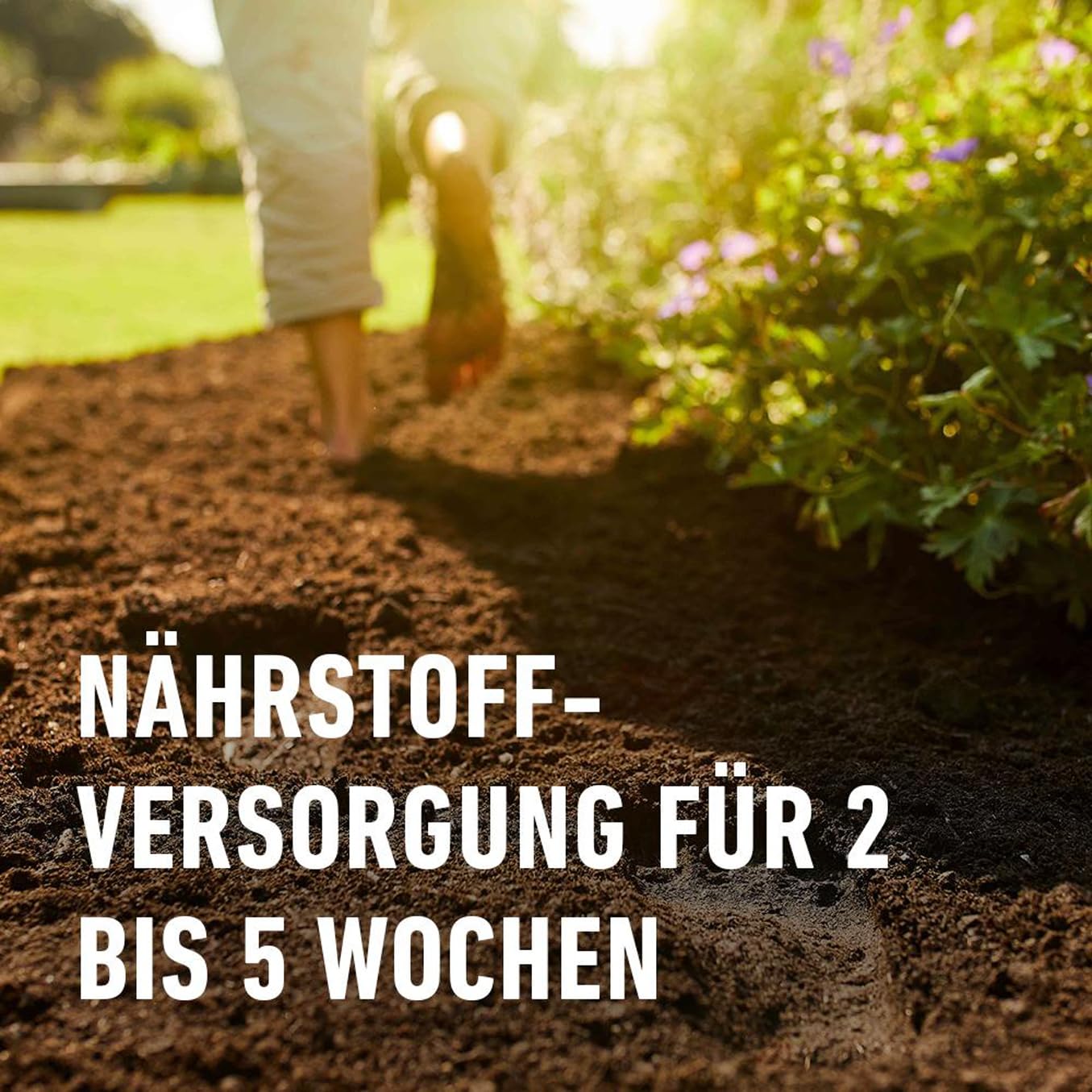compo-bio-pflanzerde-torffrei-50-l-humusreiches-substrat-mit-5-wochen-n-hrstoffe image 3