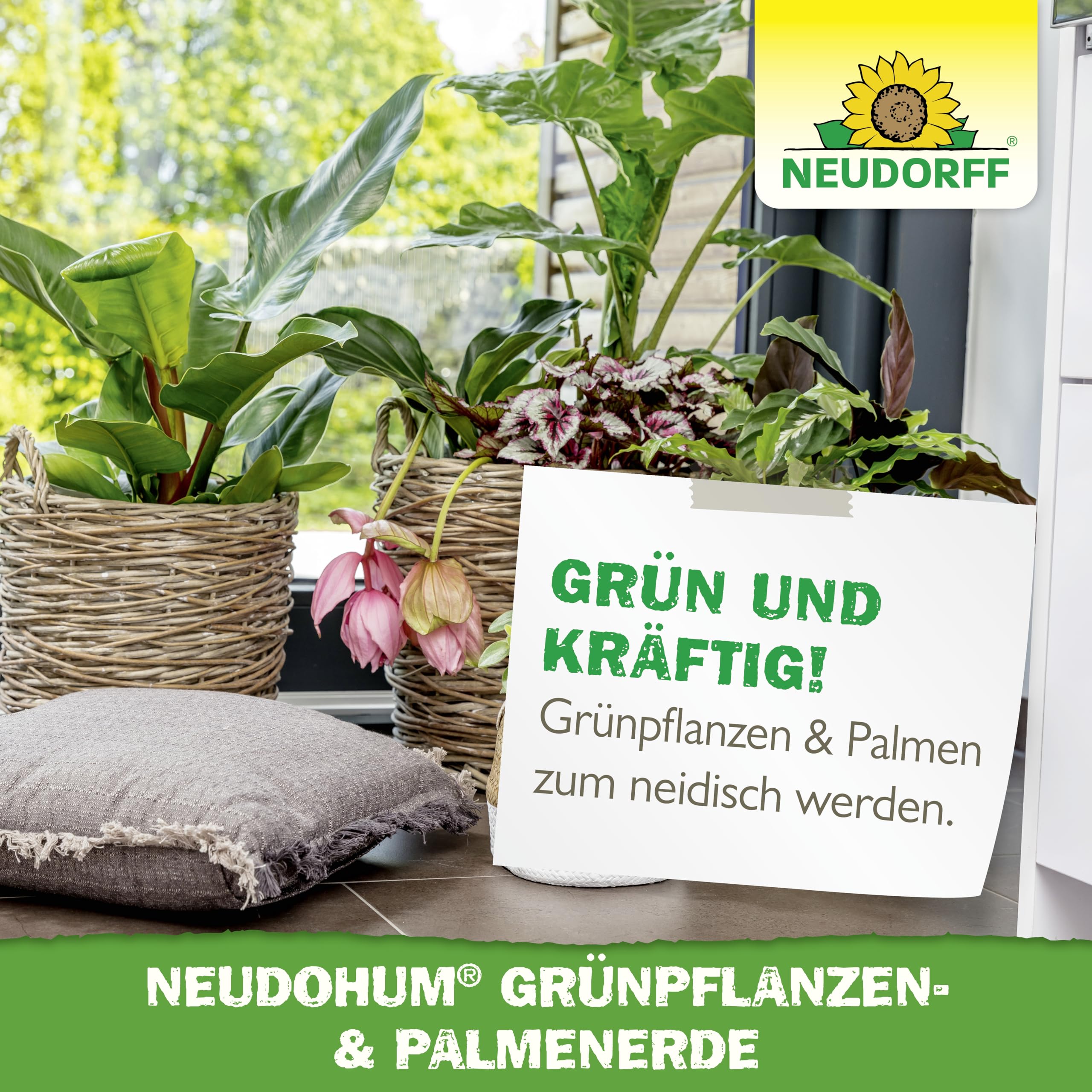 neudorff-neudohum-gr-npflanzen-palmenerde-3l-torffreie-bio-erde image 6