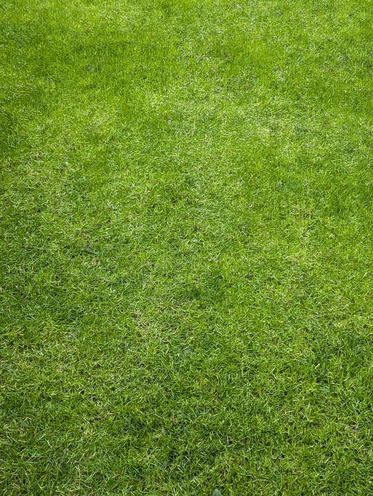Lücken nach zwei Wochen zu