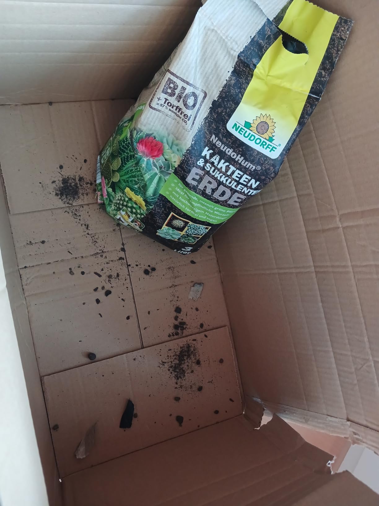 Meine Kakteen lieben sie