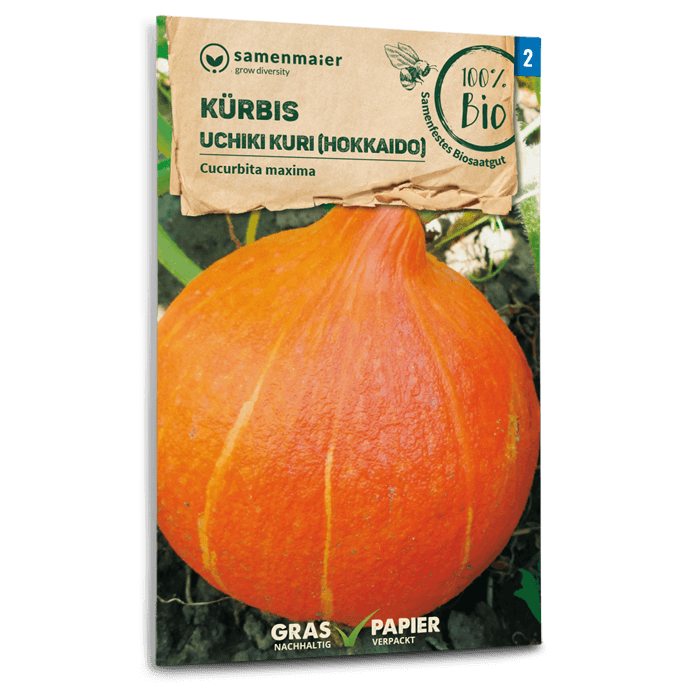 plantura-bio-k-rbis-uchiki-kuri-hokkaido-bio-saatgut image 1