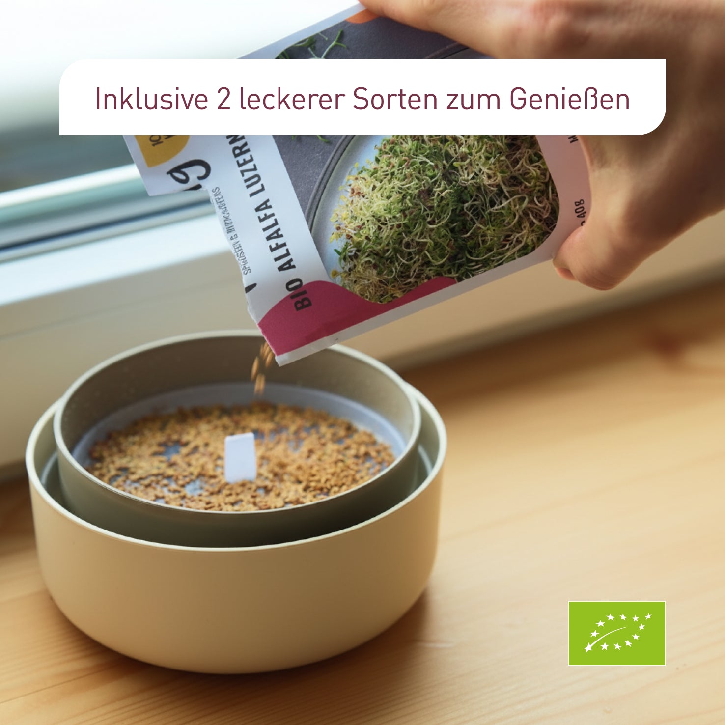 plantura-bio-sprossen-anzucht-set-starter image 4