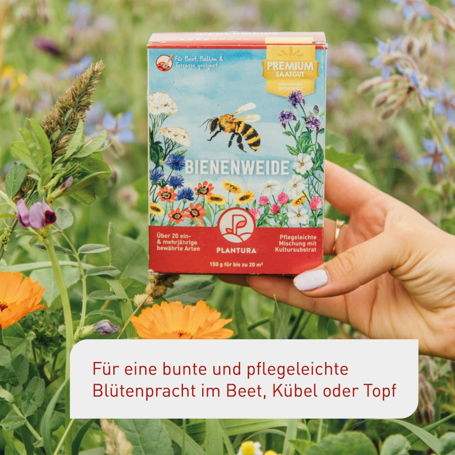 plantura-bienenweide-150-g-blumensamen-mischung image 2