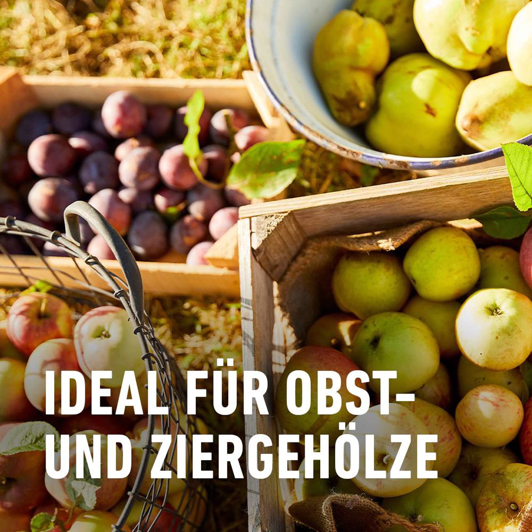 compo-lac-balsam-150-g-wundverschluss-f-r-zier-und-obstgeh-lze image 6