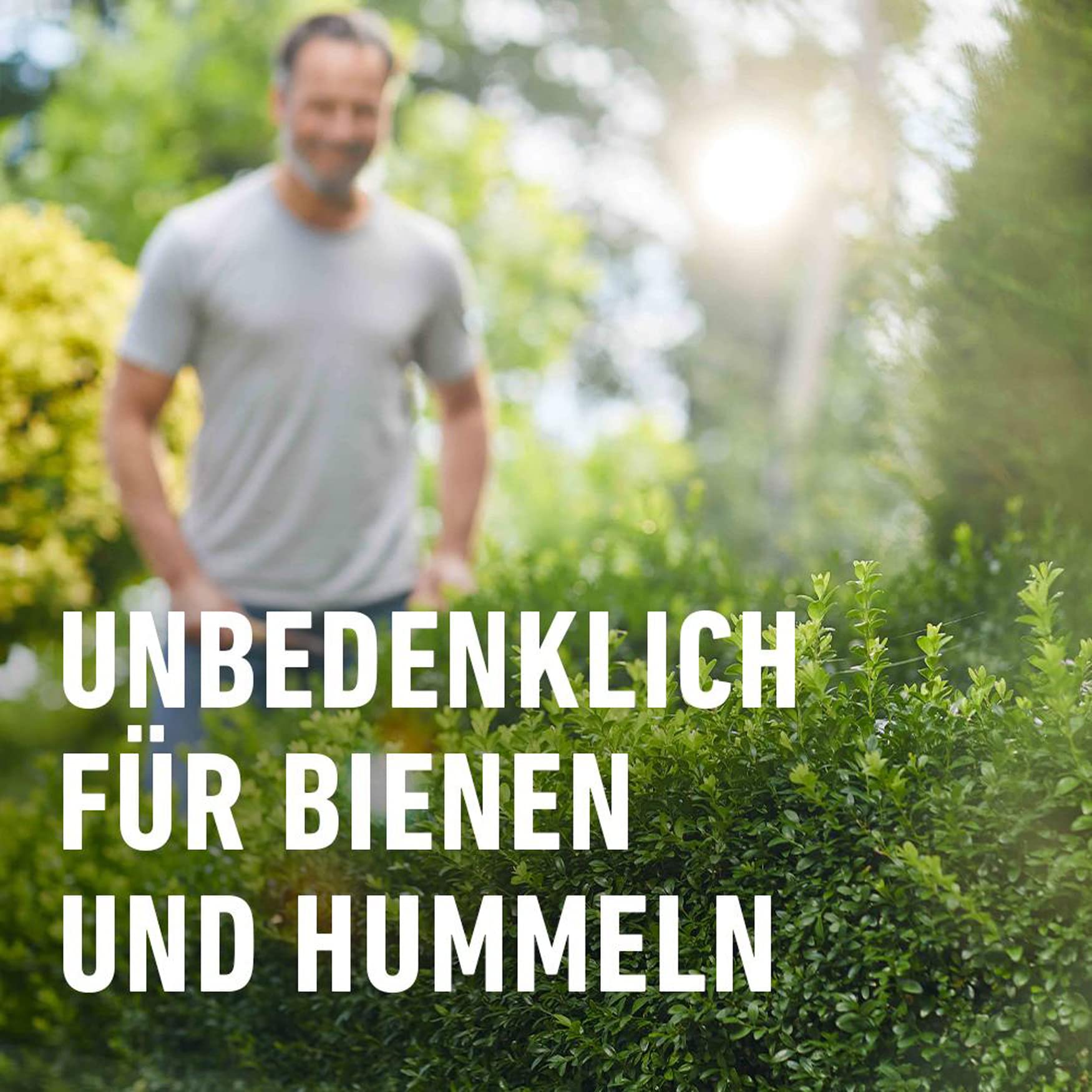 compo-buchsbaumz-nsler-falle-nachf-llpack-3-st-ck-22078 image 6