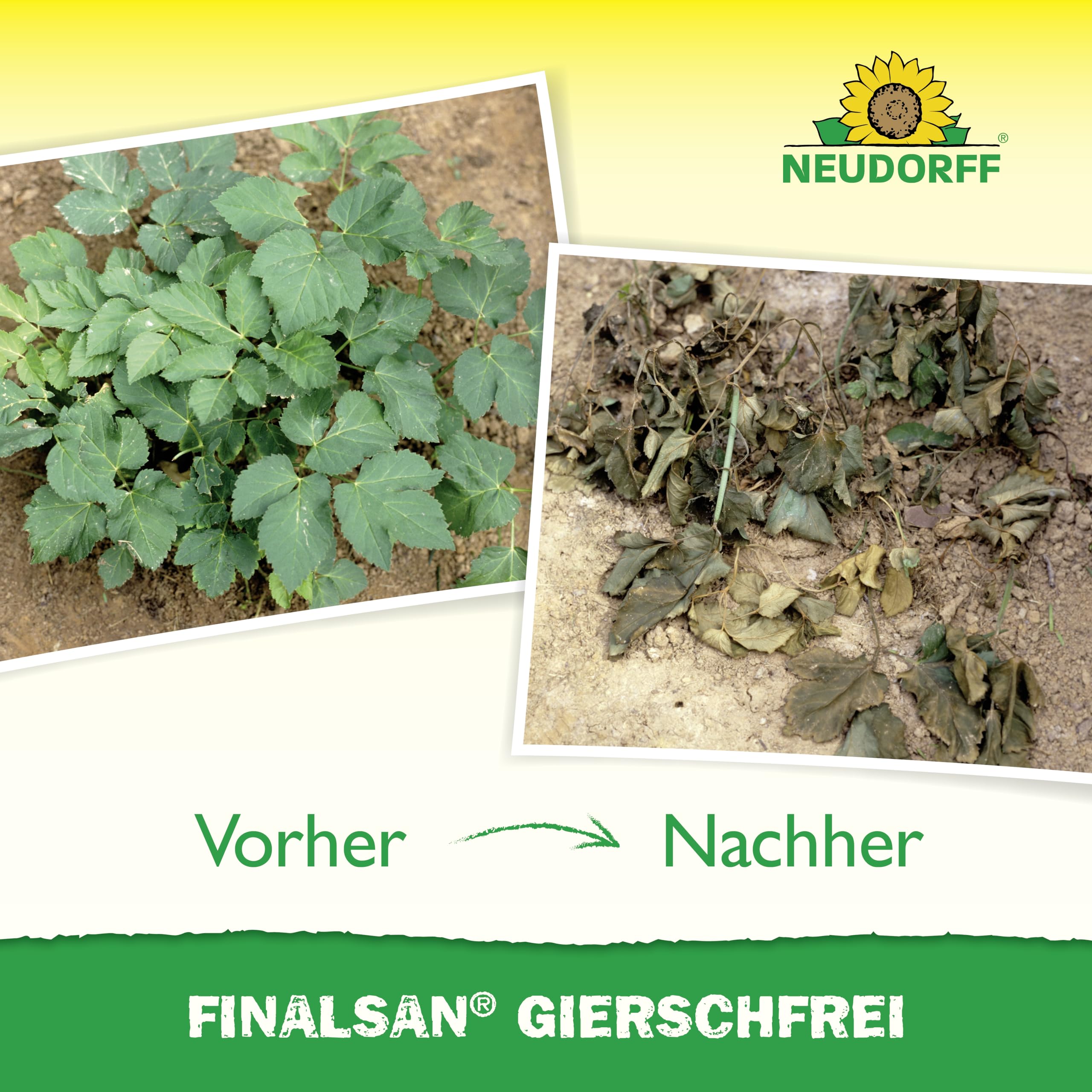 neudorff-finalsan-gierschfrei-konzentrat-1-liter-unkrautvernichter-f-r-180-m-geg image 5