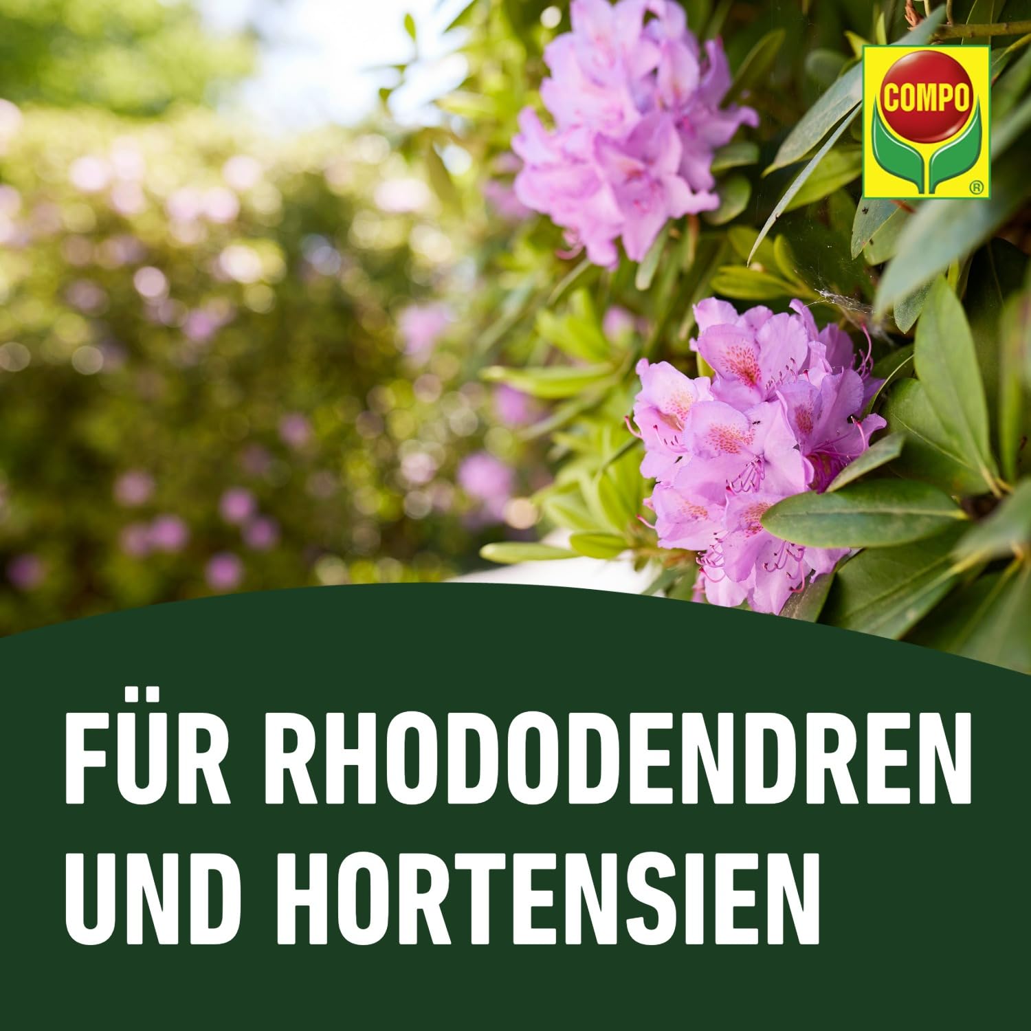 compo-bio-rhododendron-und-hortensien-langzeit-d-nger-mit-schafwolle-2-kg image 8